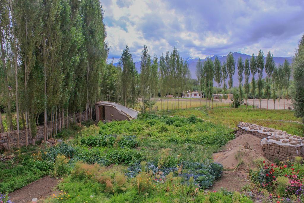 Tsetan Guest House Leh Bagian luar foto