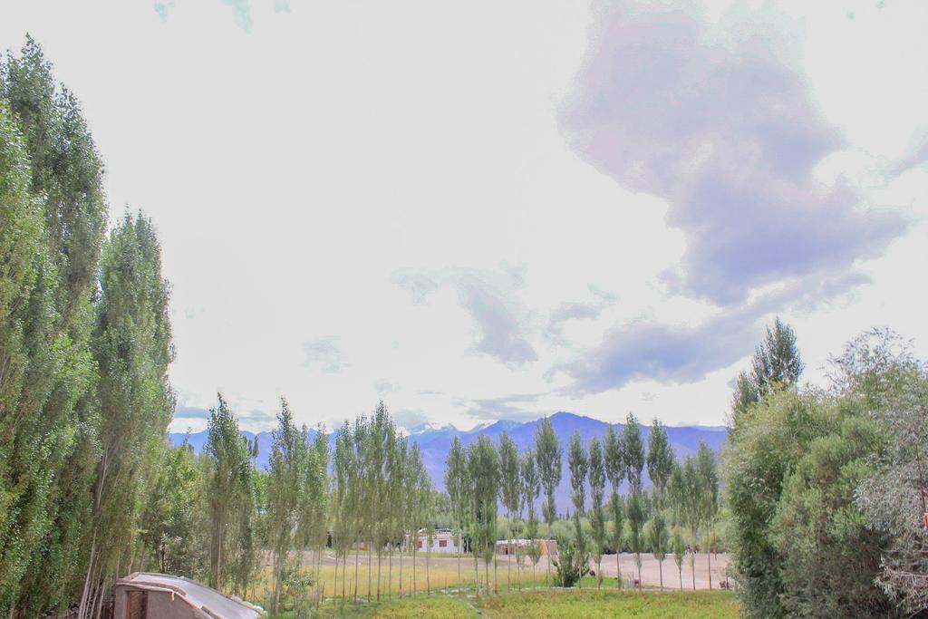 Tsetan Guest House Leh Bagian luar foto